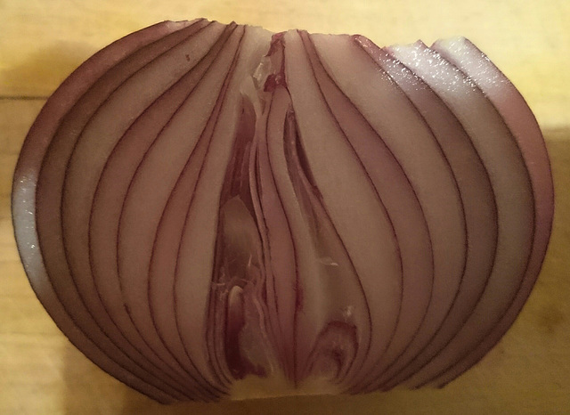 Onion Beauty