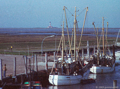 Krabbenkutter im Tümlauer Hafen (1983)