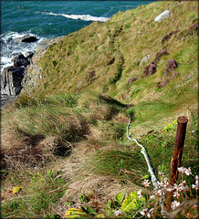 The new route to the beach! (Greenbank Cove, North Cliffs, Cornwall)