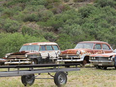 1953 and 1954 Fords