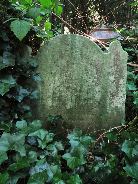 abney park cemetery, stoke newington, london,1843 gravestone of mary hays, feminist author and radical biographer, friend of mary wollstonecraft