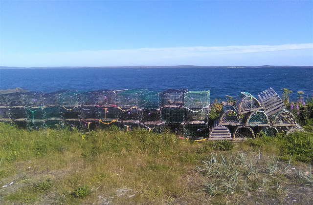 Cages à homards /Gabbie per aragoste