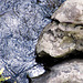Rocks And Water,