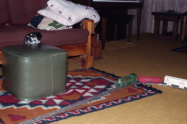 The Puppy And The Toy Train