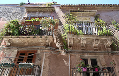 Verdant balconies