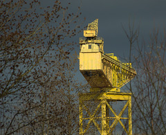 Yellow Cranes On The Tyne