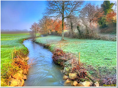 A frosty but colourful day - HFF
