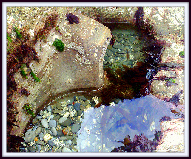 Another rock pool ...  well, they are photogenic, in the right light and location!