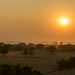 Sonnenuntergang bei Bagan (© Buelipix)