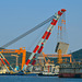 Large heavy lift crane, DSME