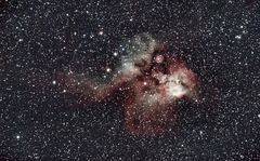 Skull & Cross Bones Nebula NGC 2467