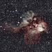 Skull & Cross Bones Nebula NGC 2467