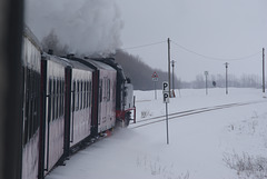 Molli-Eisenbahn 20.März 2013