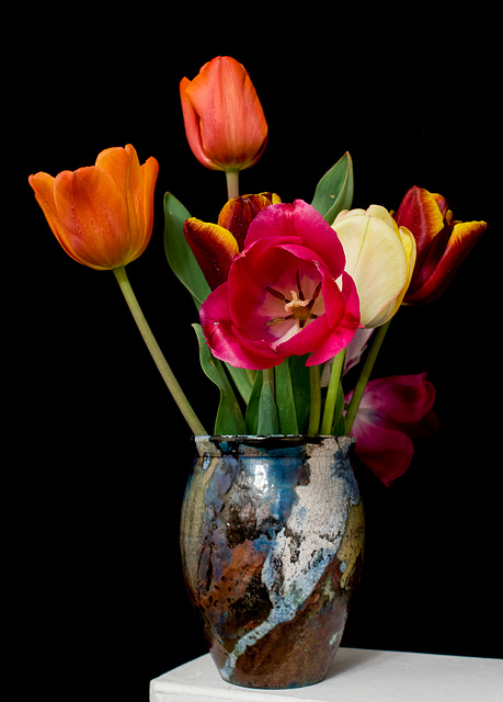 April 18: tulips