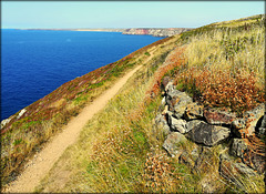 South West Peninsula Coast Path at Newdown's Head, Cornwall