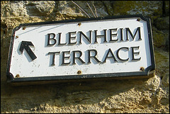 Blenheim Terrace sign