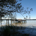 Ammersee (pip)