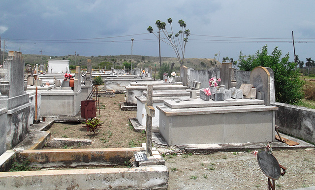 Cuban funerary garden