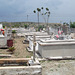 Cuban funerary garden