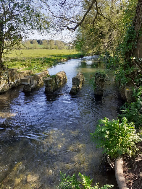 River Ebble