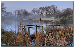 HFF-  Winter on the fish pond