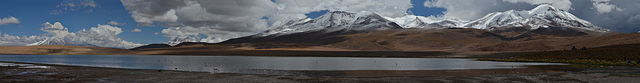 Bolivian Altiplano, Panorama of Laguna Cañapa with James's Flamingos