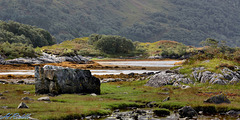 The banks of Loch Moidart