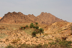 Au Sahara vers Beni-Abbes.