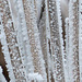 A curtain of hoar frost