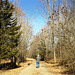 60° F (16°C) Polly Ann Trail, Michigan