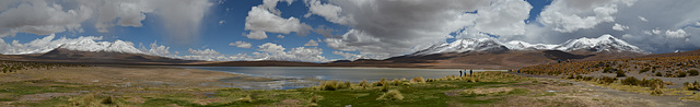 Bolivian Altiplano, Panorama of Laguna Cañapa