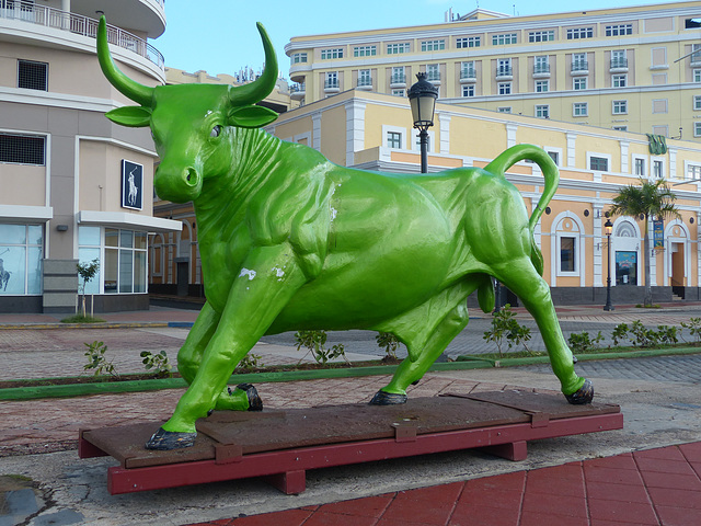 Green Bull - 10 March 2019