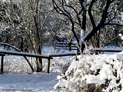 Schnee im Garten (2003)