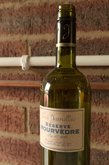 Wine bottle with pipes