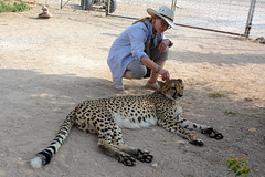 Namibia, You Can Stroke a Cheetah in the Otjitotongwe Guest Farm