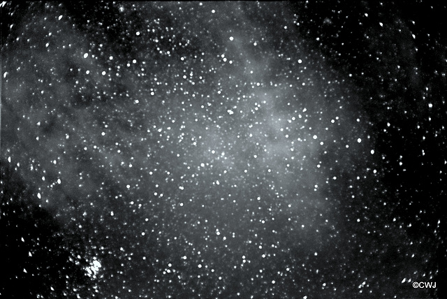Cloudy Eastern starlit skies - The Pleiades