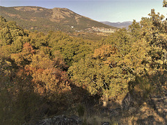 San Lorenzo de El Escorial desde El Bosque de La Herrería.