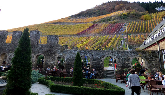 DE - Marienthal - Autumn in the vineyards