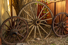Wagon Wheel Fence 01
