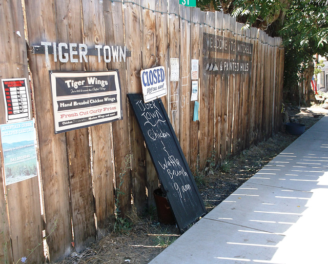 Tiger town