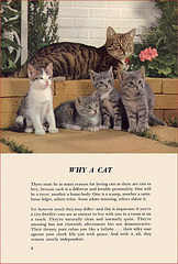 Kittens and Cats (2), 1957