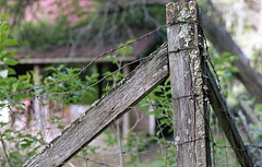 The Old Fence