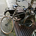 The Hague 2020 – Gazelle cross frame bicycle