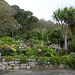HFF from our garden for a week in Porthcurno