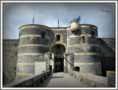Château D'Angers !