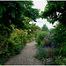 Brockwell Park walled garden 3 11 July