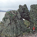 Elephant Rock on Hestan Island, Solway Firth, Scotland