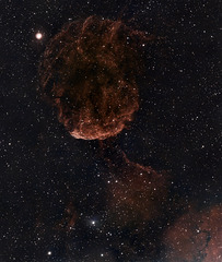 Jelly Fish Nebula IC443