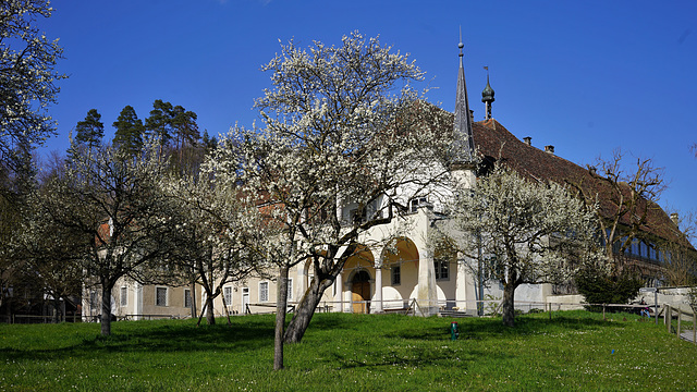 Ehem. Karthäuser-Kloster Ittingen TG