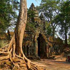 Das Nordtor von Angkor Thom (Kambodscha)
